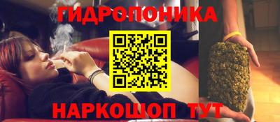 ГАЛЛЮЦИНОГЕННЫЕ ГРИБЫ Дубна