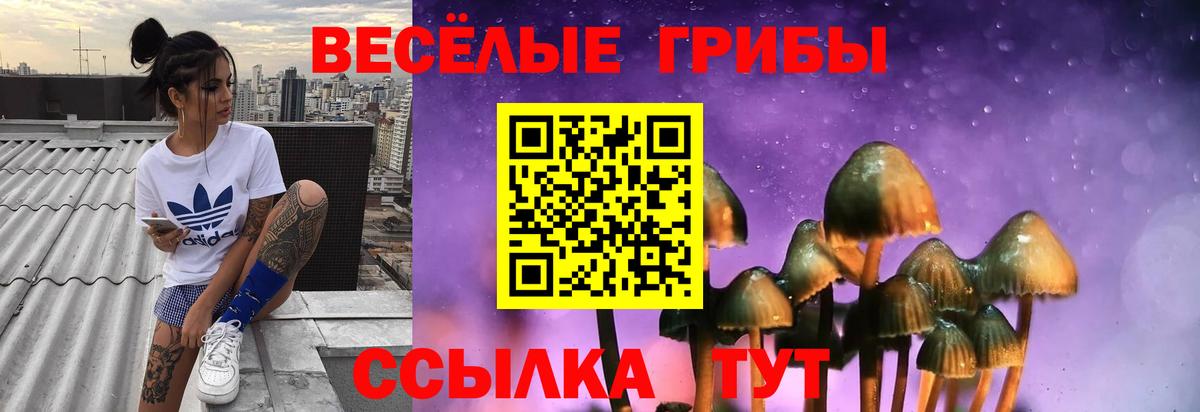 Михайловск  Галлюциногенные грибы ЛСД  Вход с VPN 